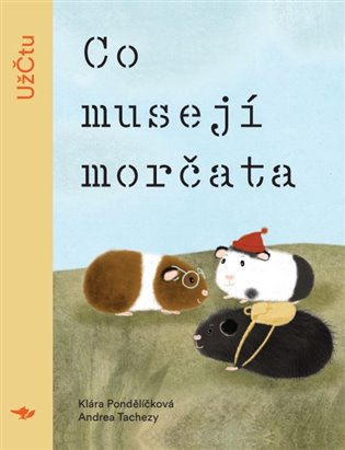  Co musejí morčata 
