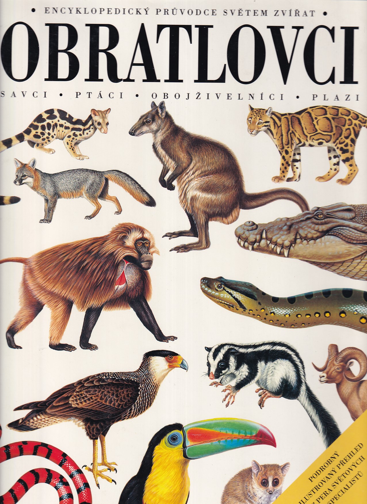 Obratlovci : savci, ptáci, obojživelníci, plazi : encyklopedický průvodce světem zvířat