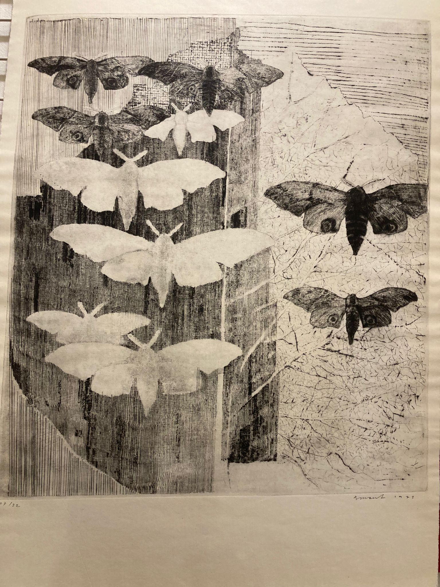 František Burant : Světlé a tmavé můry