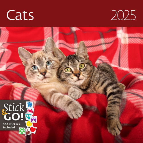 Cats 2025 - nástěnný kalendář