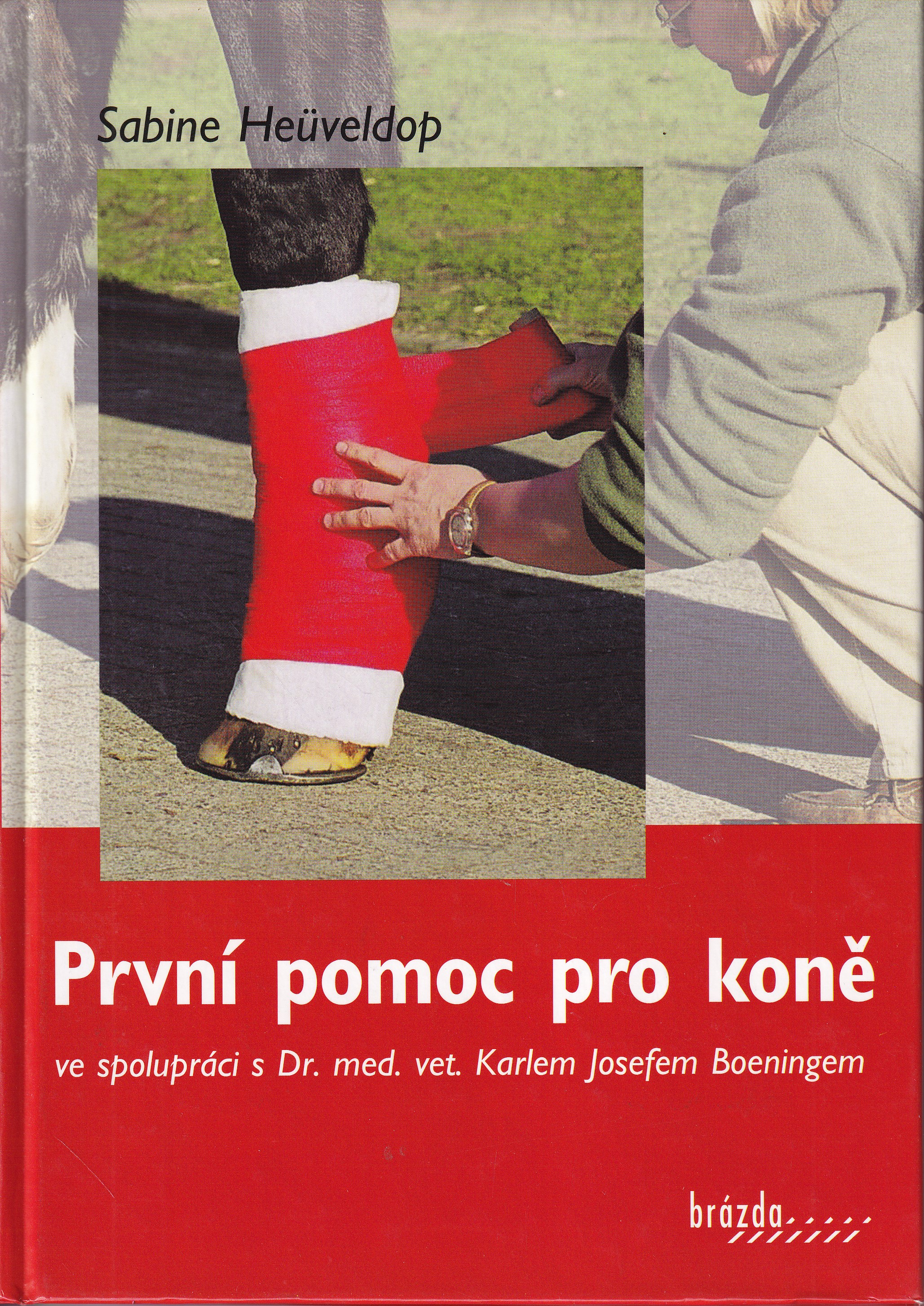První pomoc pro koně