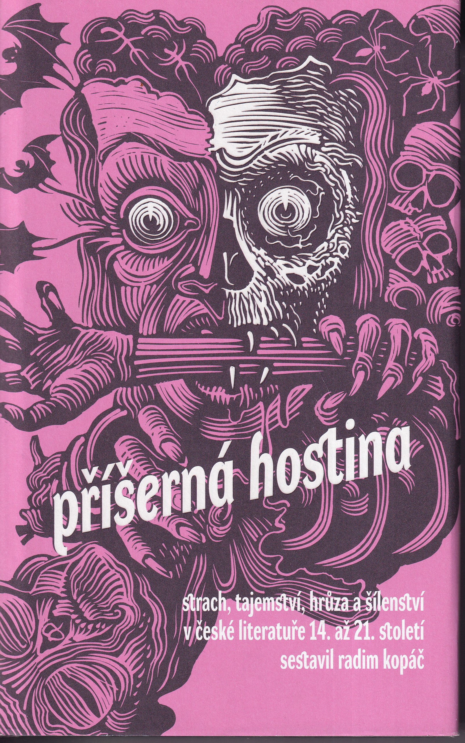 Příšerná hostina : strach, tajemství, hrůza a šílenství v české literatuře 14. až 21. století