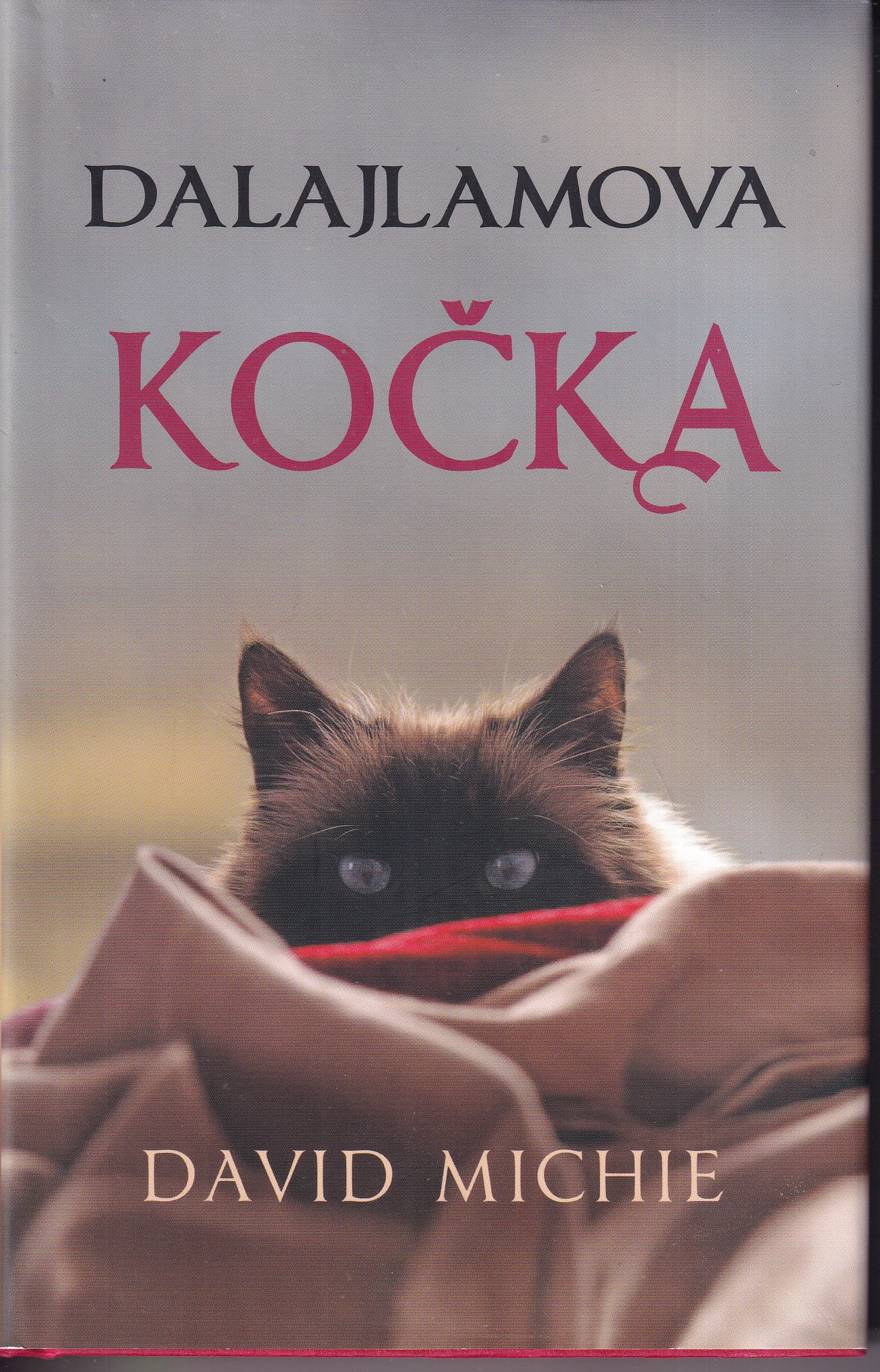 Dalajlamova kočka