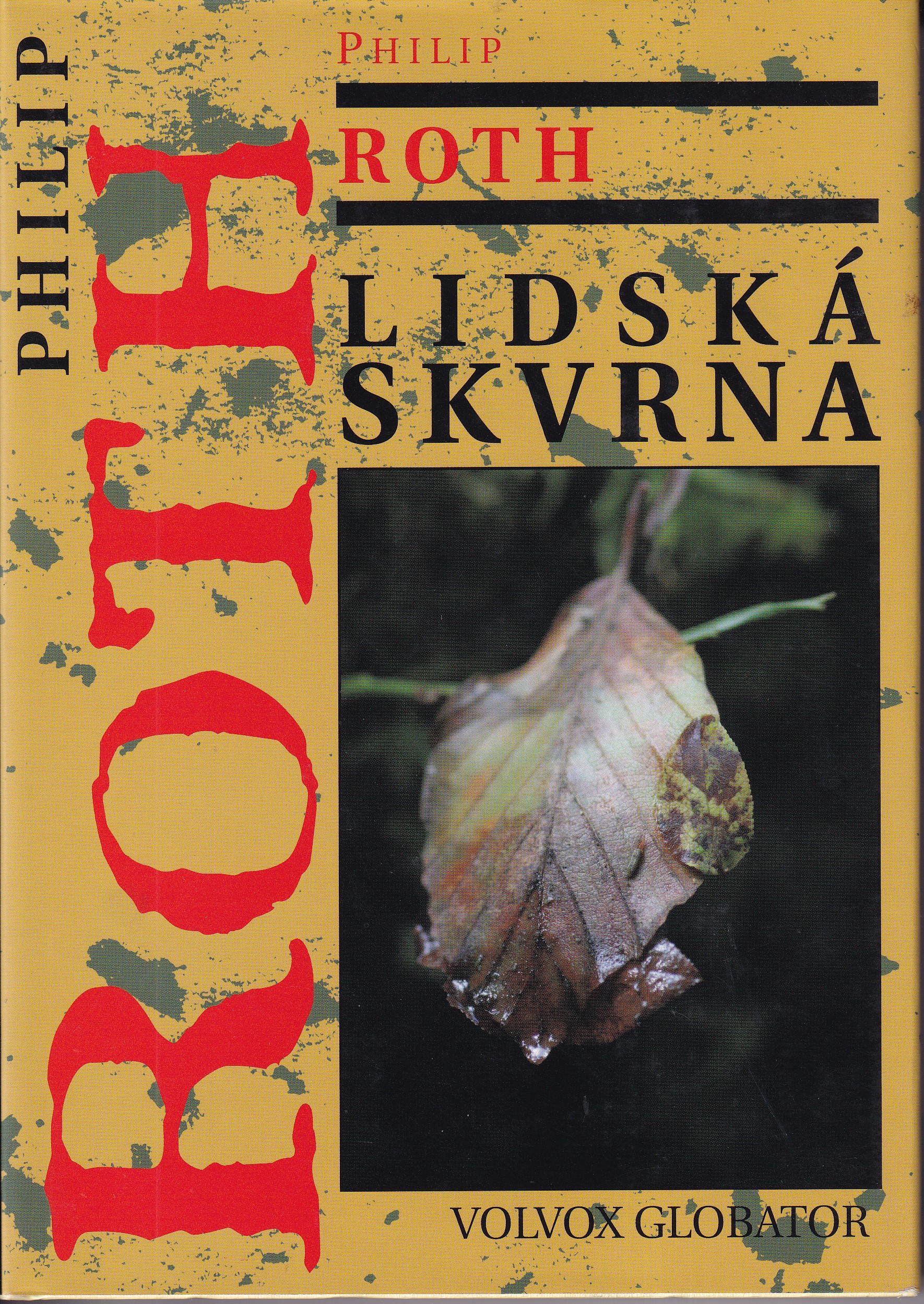 Lidská skvrna