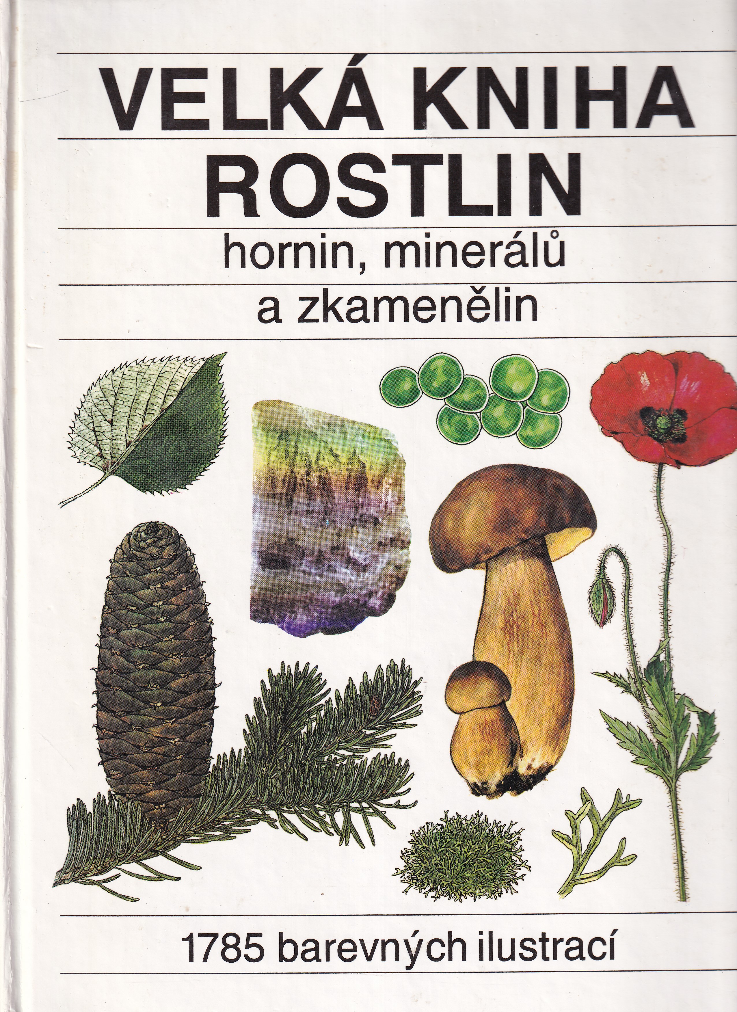 Velká kniha rostlin hornin, minerálů a zkamenělin