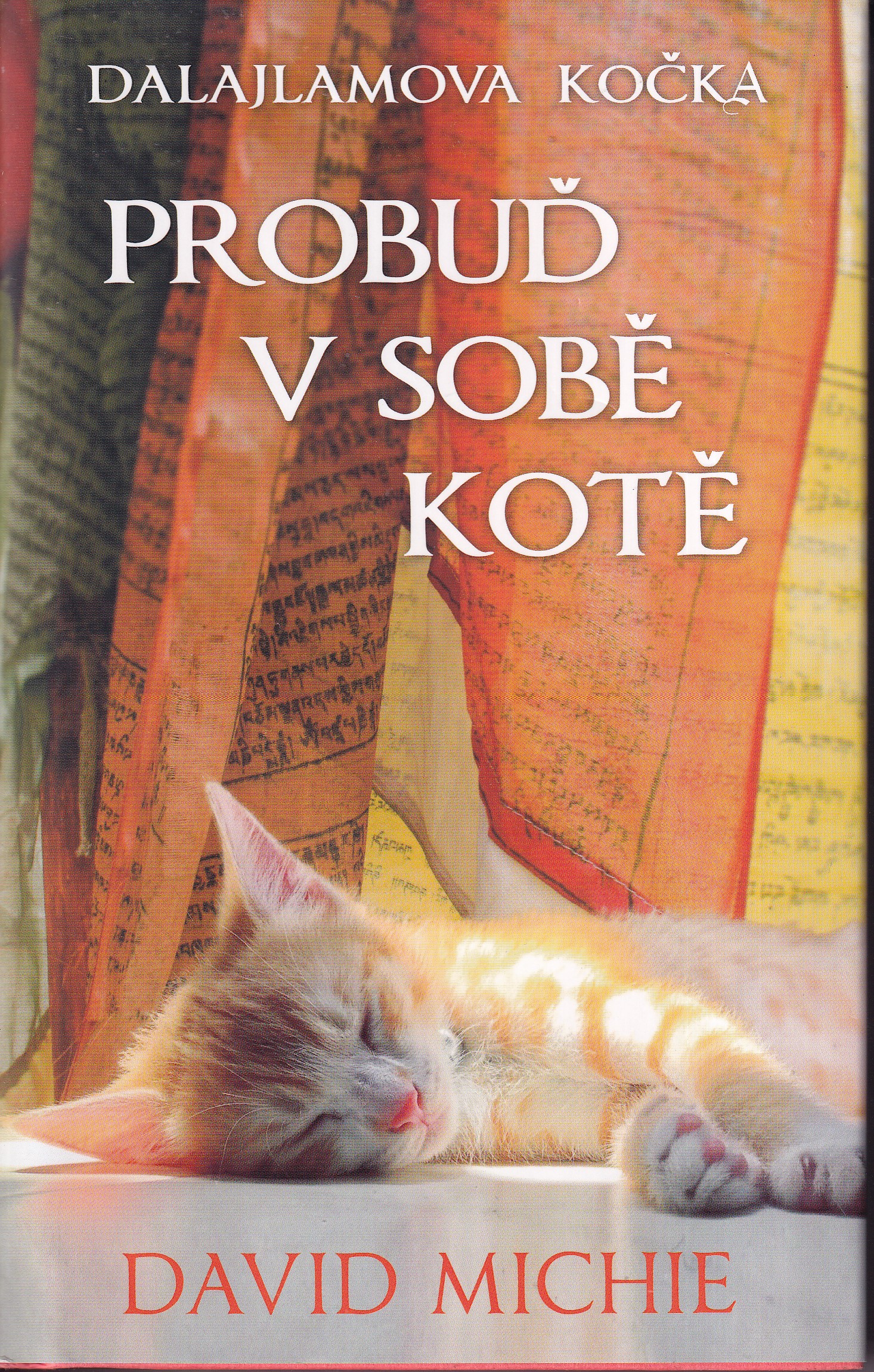 Dalajlamova kočka - probuď v sobě kotě
