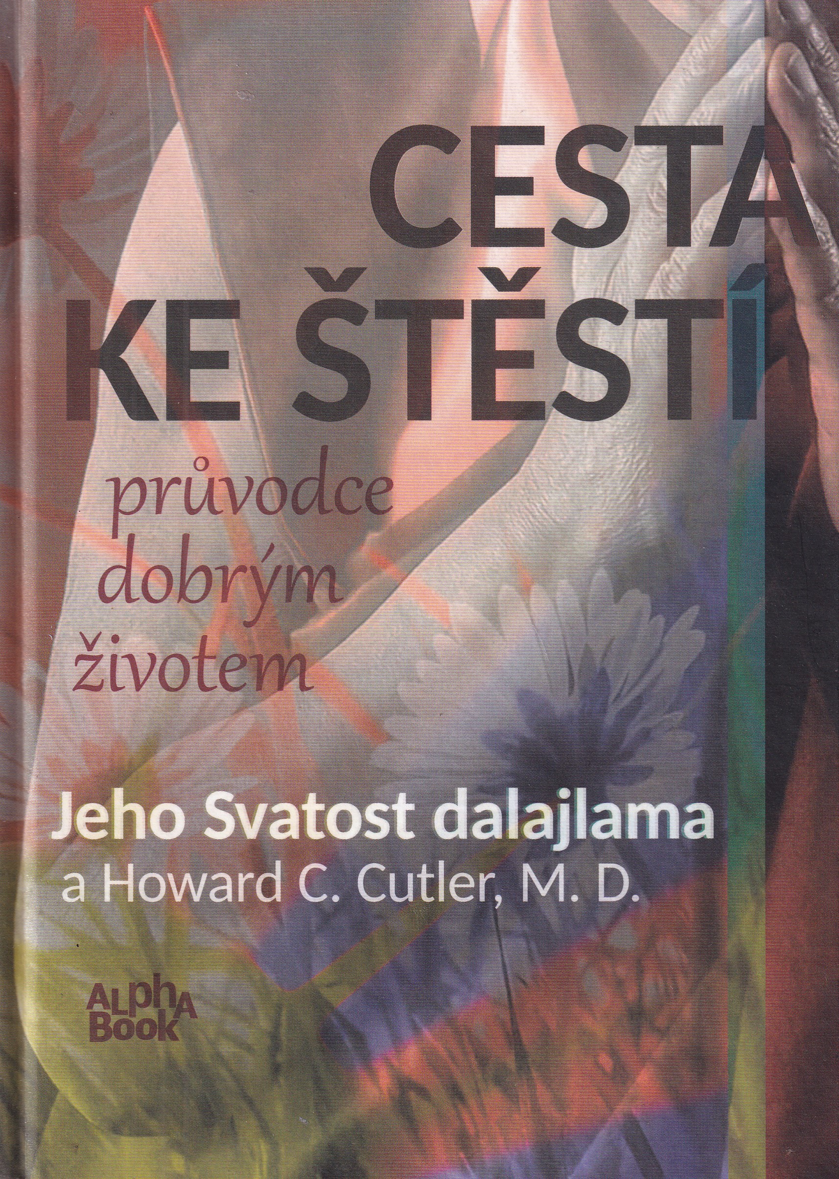 Cesta ke štěstí : průvodce dobrým životem