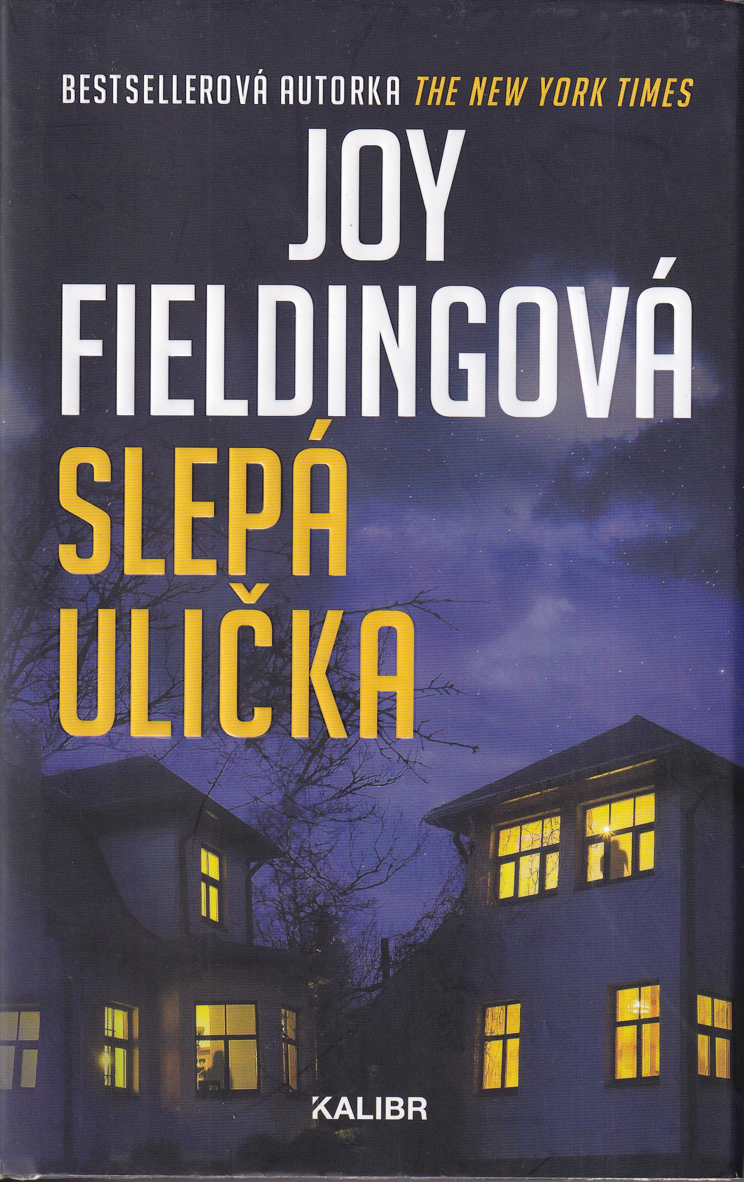 Slepá ulička
