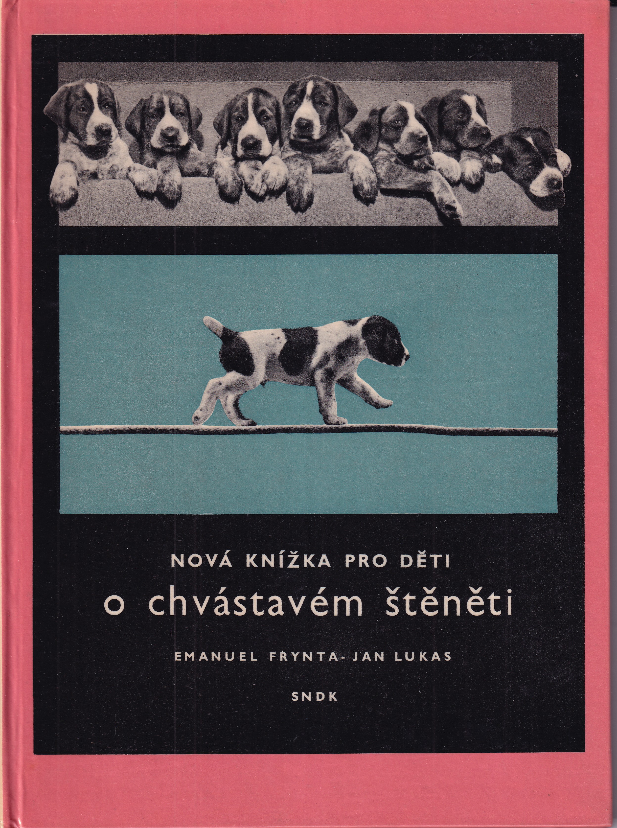 Nová knížka pro děti o chvástavém štěněti