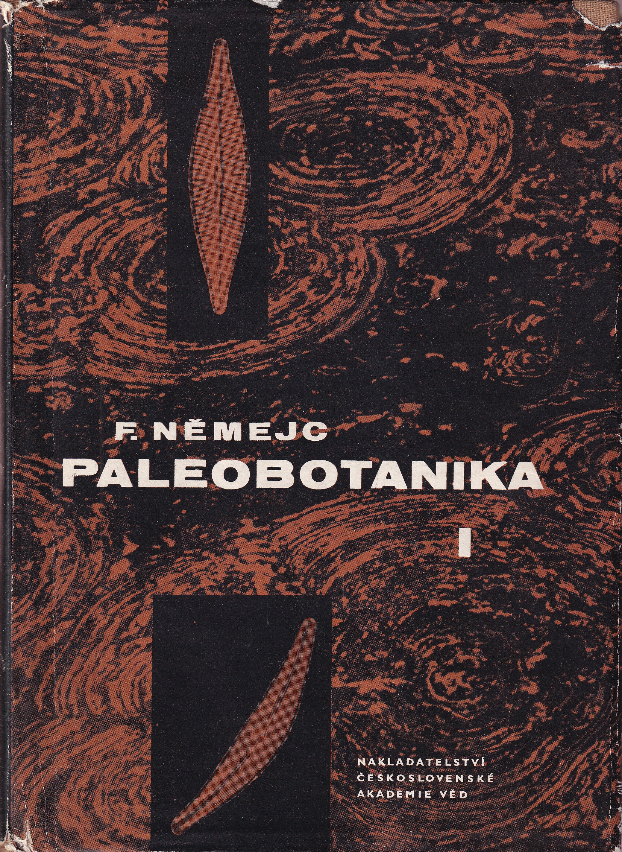 Paleobotanika. 1, Všeobecná část. Systematická část. Bakterie - sinice - bičíkovci - řasy - houby