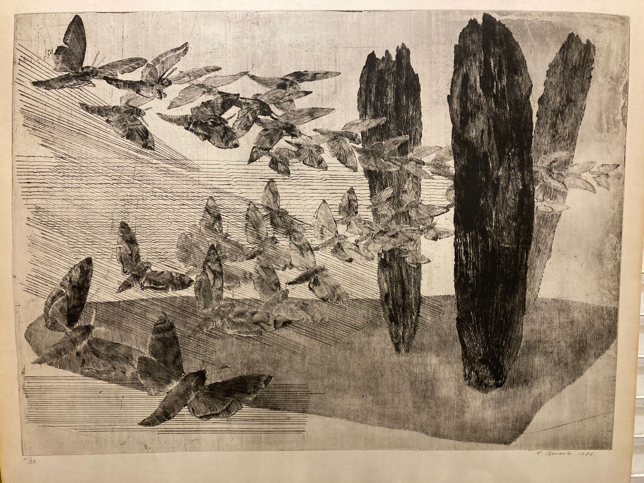 František Burant : Let můr