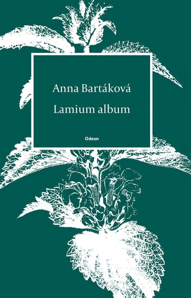 Lamium album