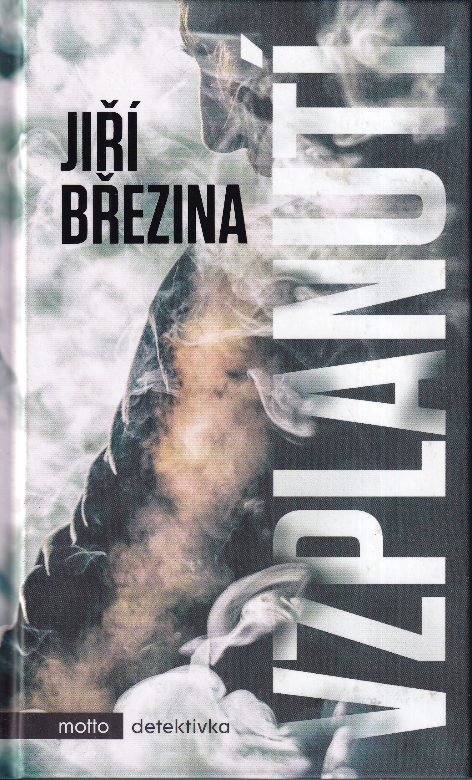 Vzplanutí, Jiří Březina