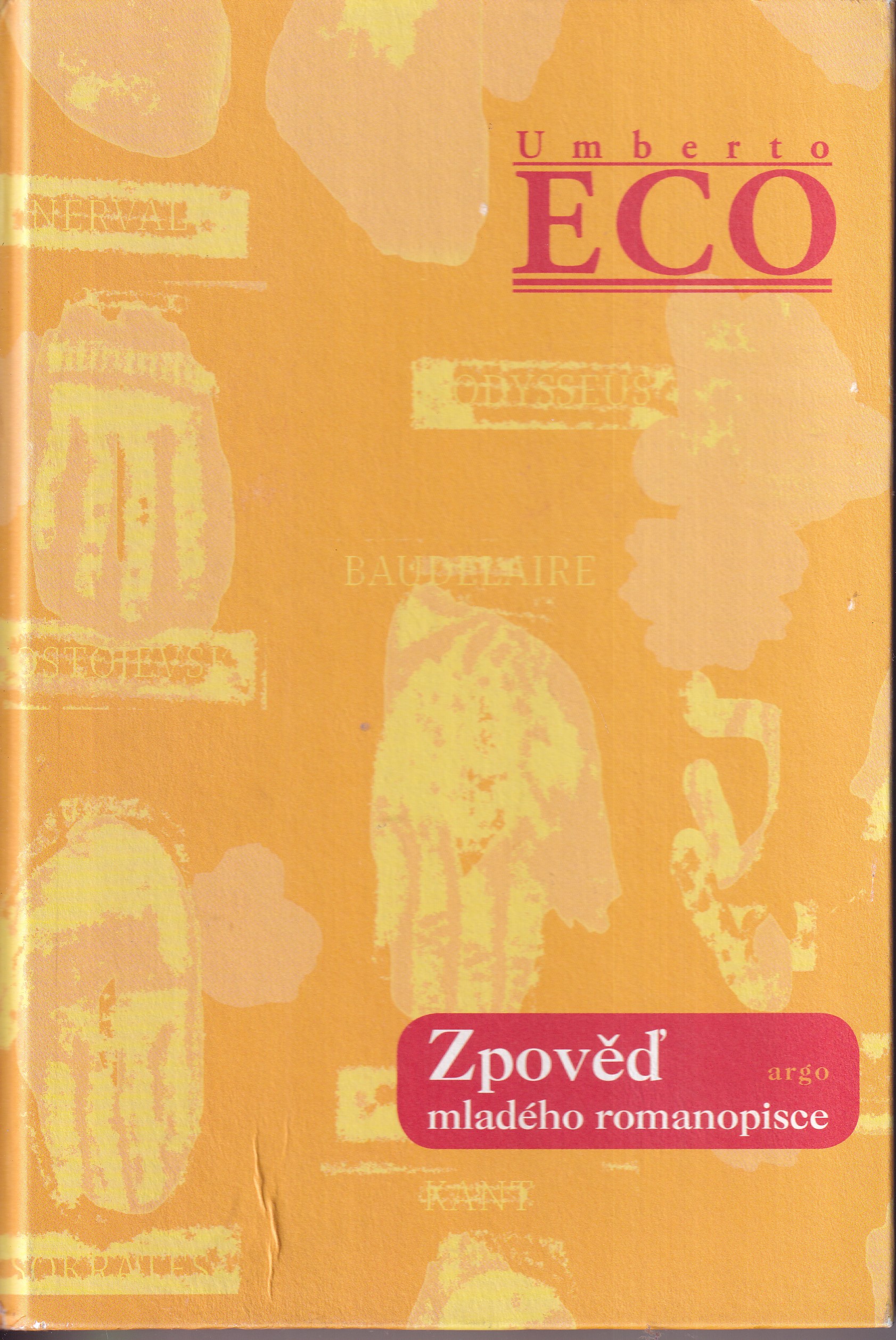 Zpověď mladého romanopisce