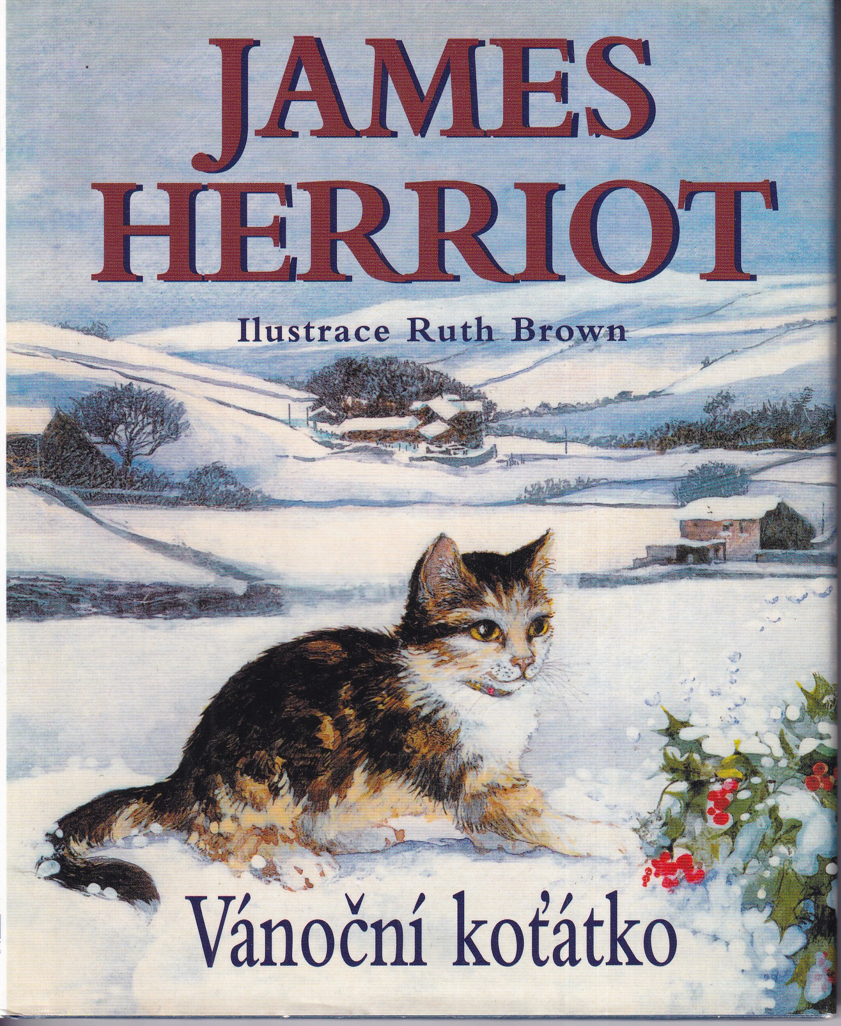 Vánoční koťátko