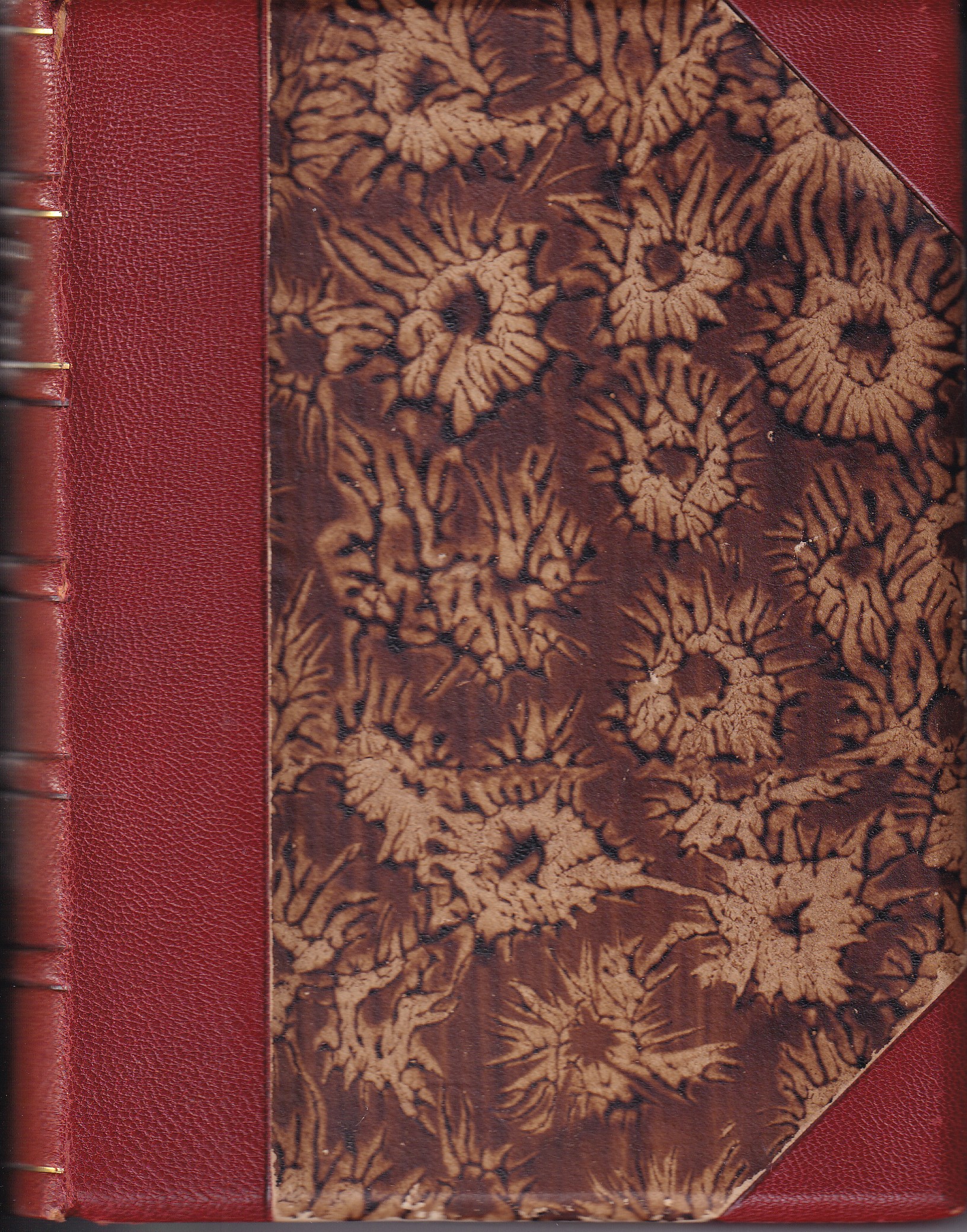 Felíčkův román podpis autora