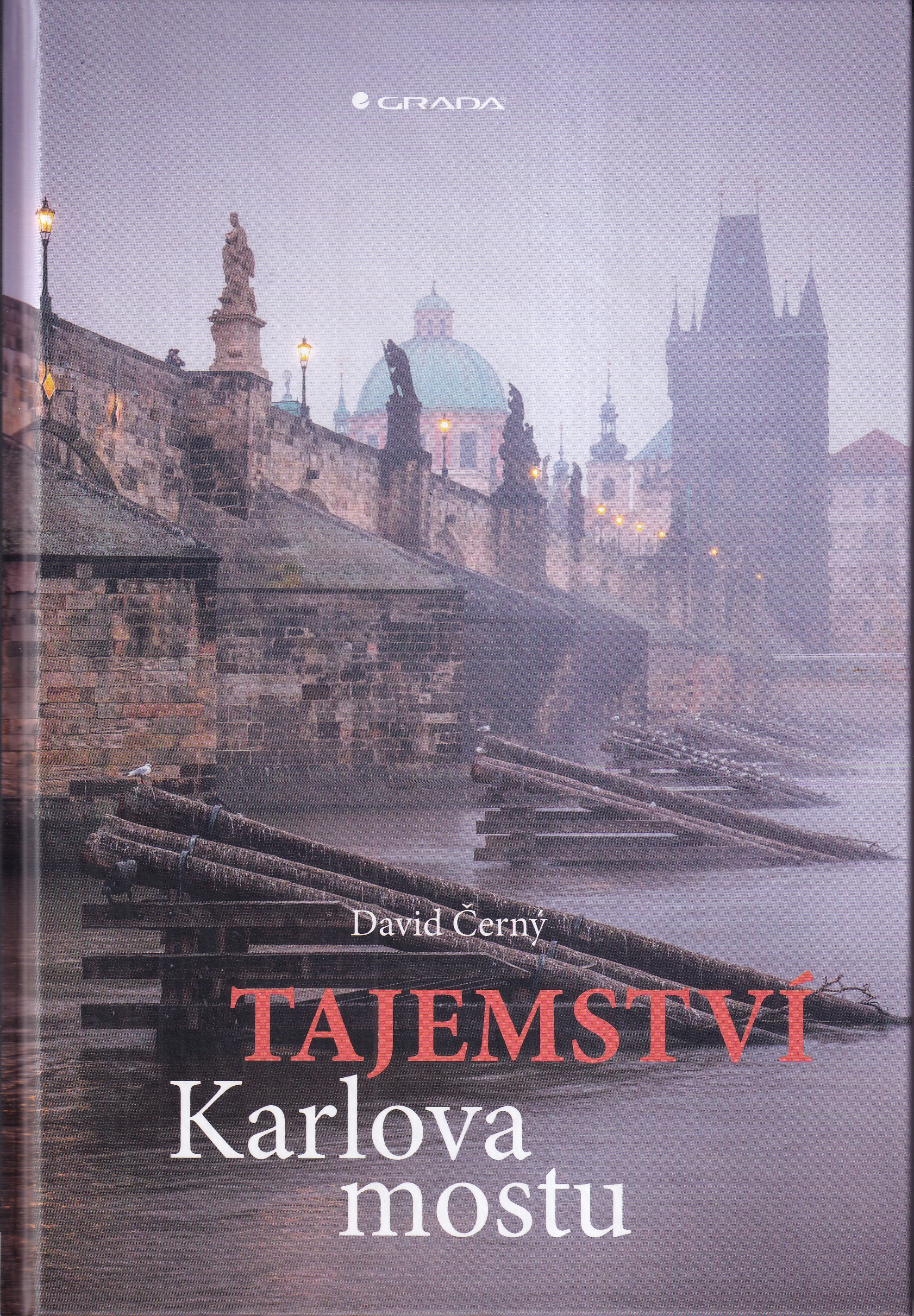 Tajemství Karlova mostu  David Černý