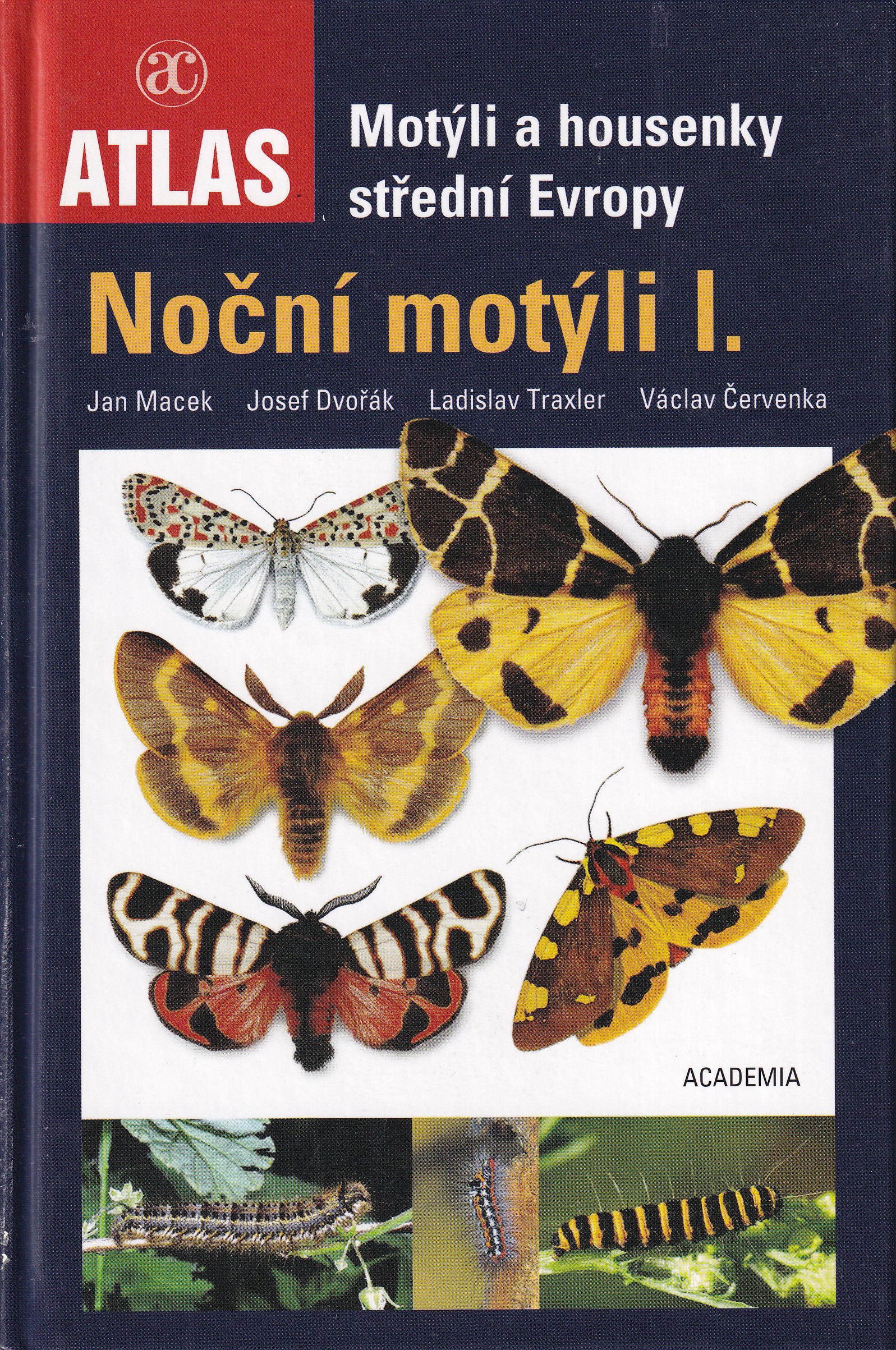 Motýli a housenky střední Evropy   Noční motýli I.