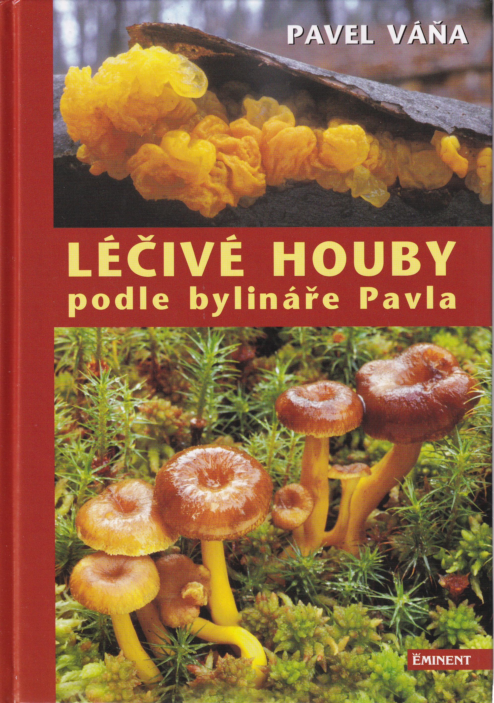 Léčivé houby podle bylináře Pavla