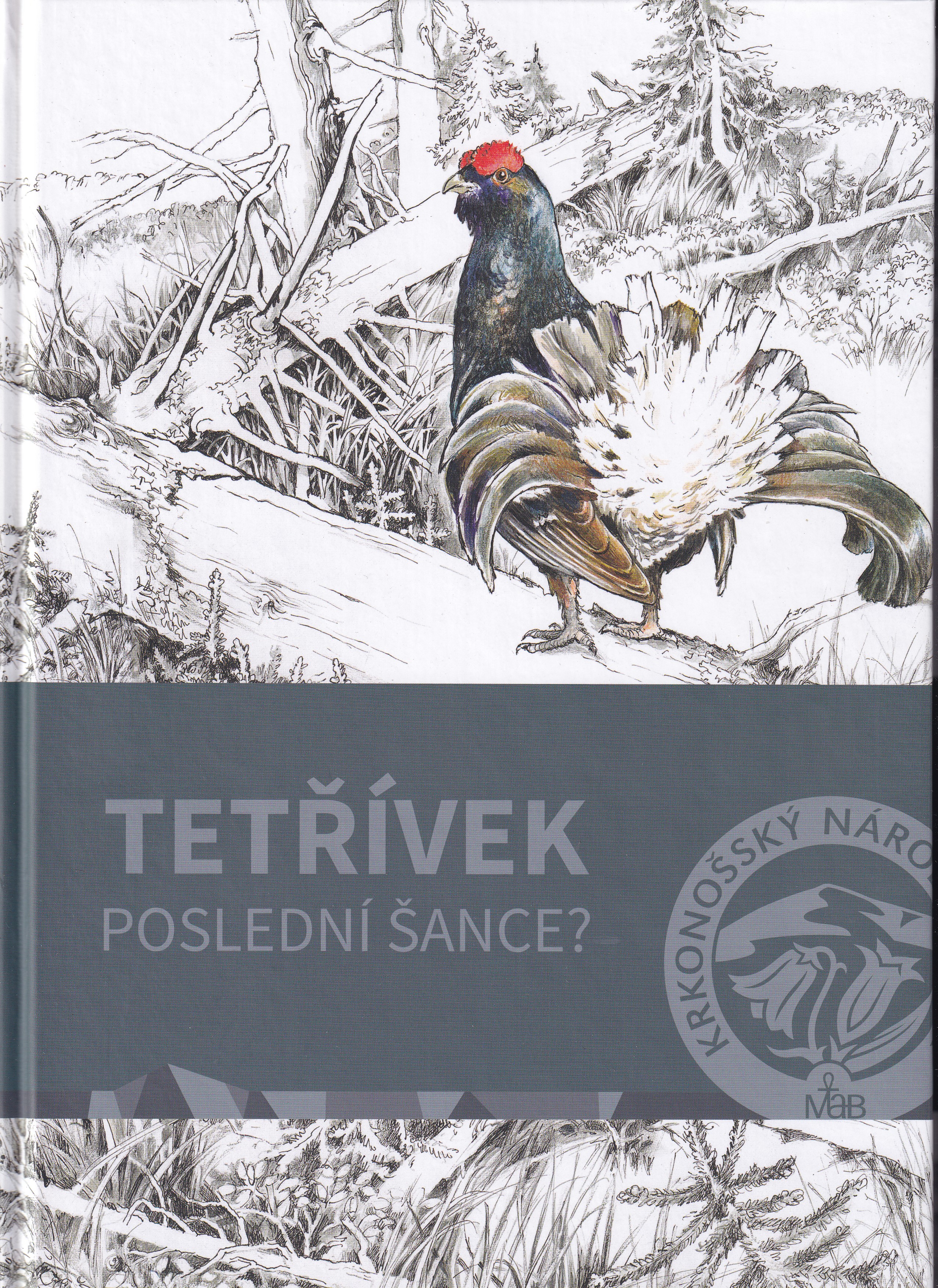 Tetřívek  poslední šance?  Václav Tomášek, Ondřej Volf & kolektiv
