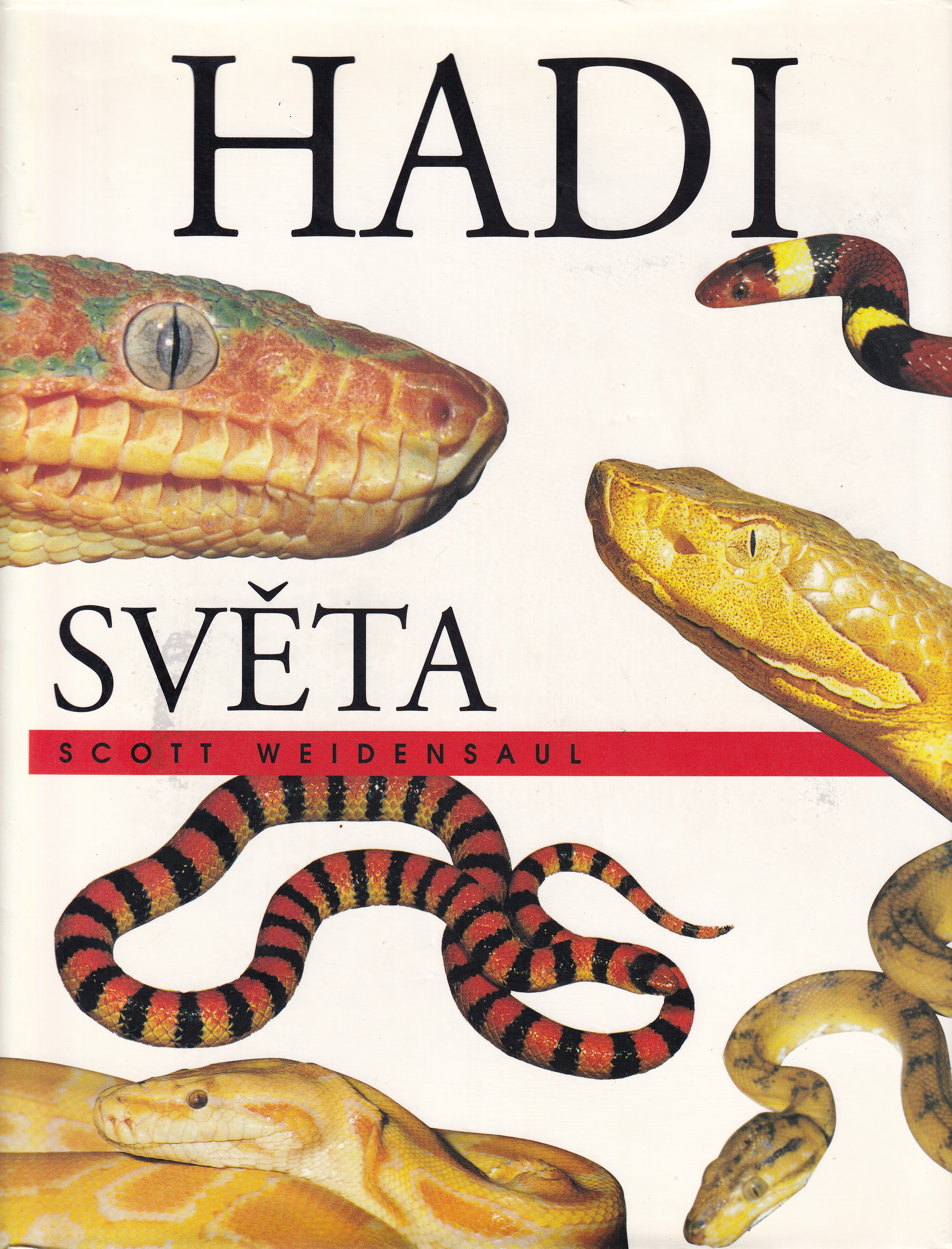 Hadi světa