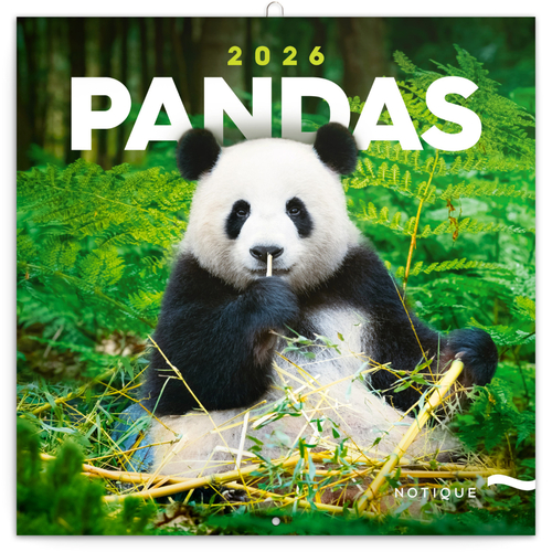 Poznámkový kalendář Pandy 2026 - nástěnný kalendář