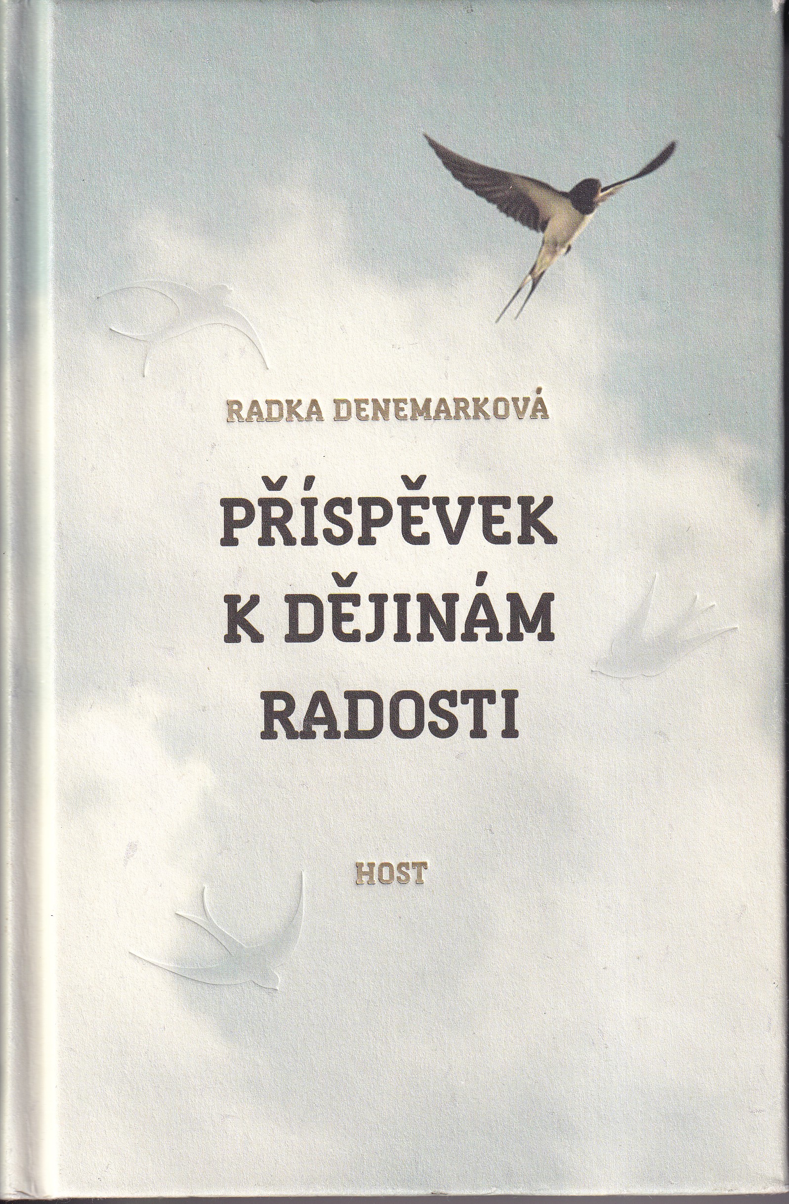 Příspěvek k dějinám radosti