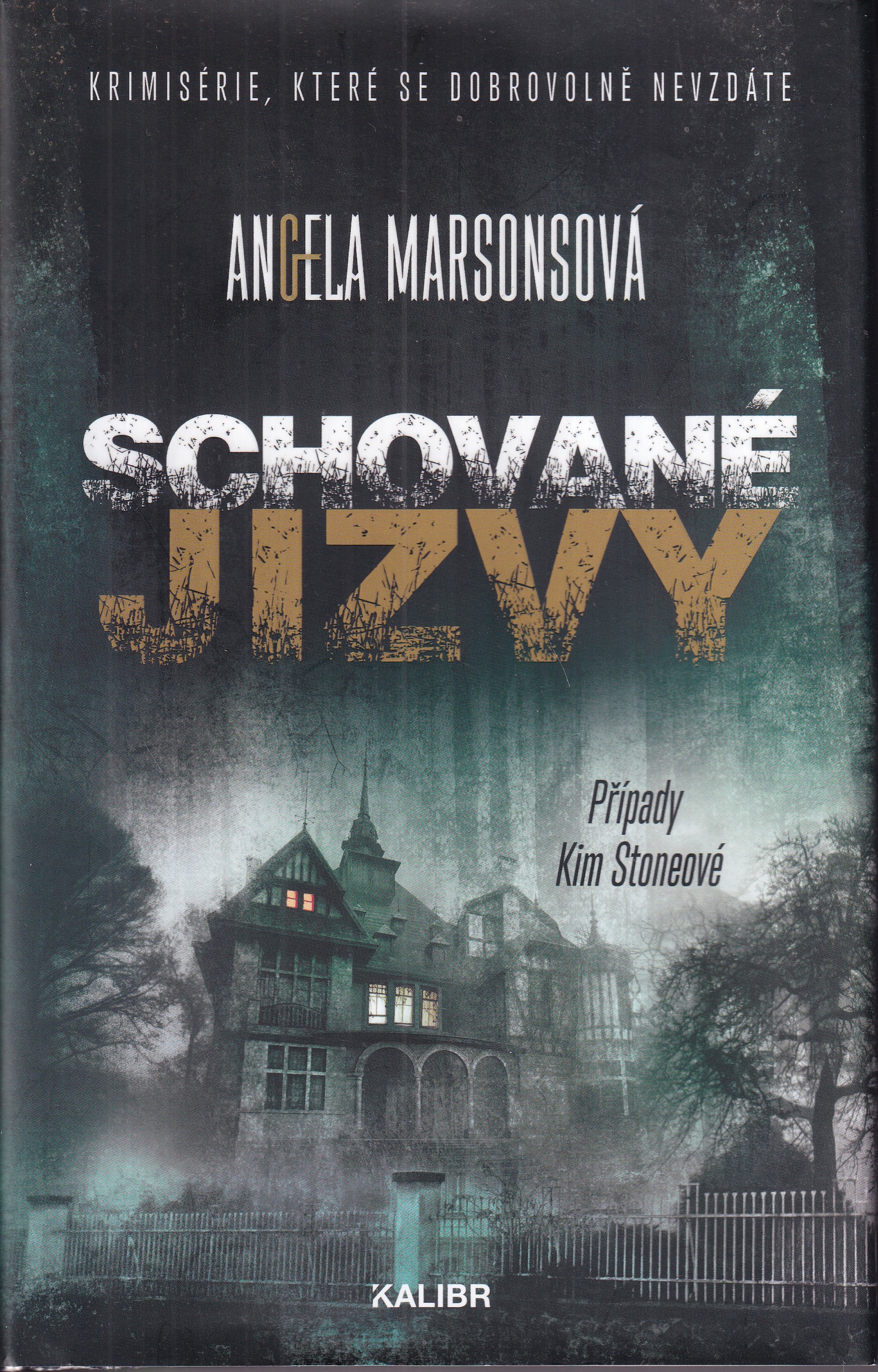 Schované jizvy