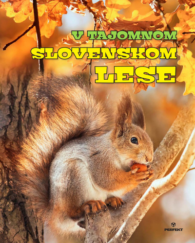 V tajomnom slovenskom lese