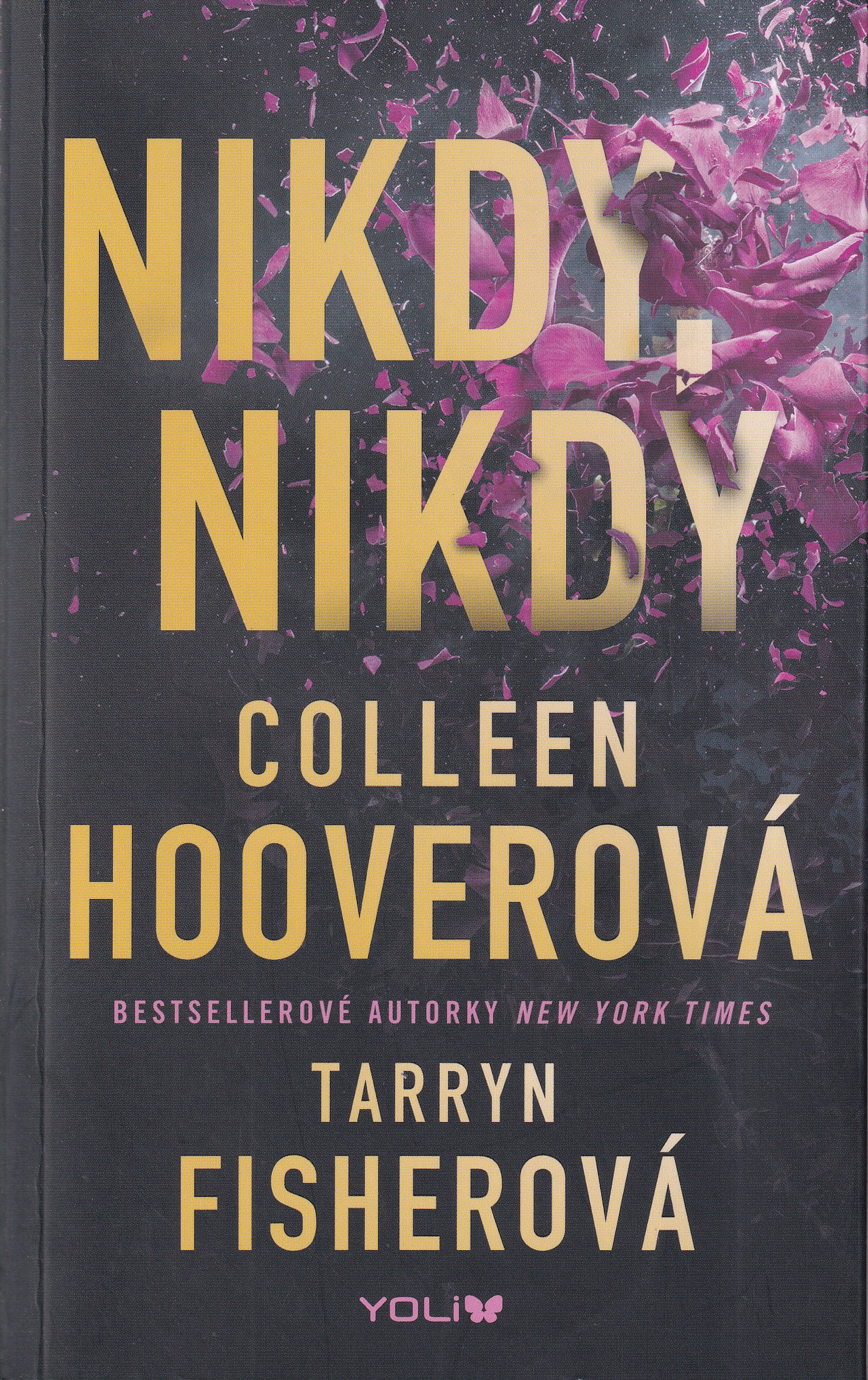 Nikdy, nikdy, Colleen Hooverová, Tarryn Fisherová