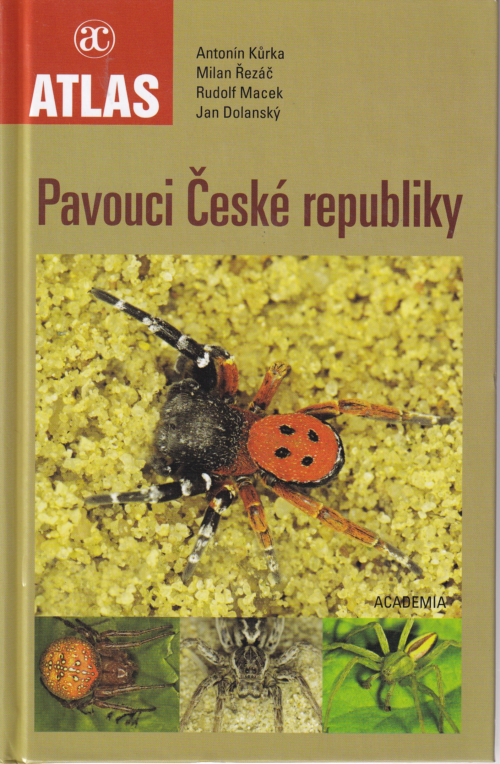 Pavouci České republiky