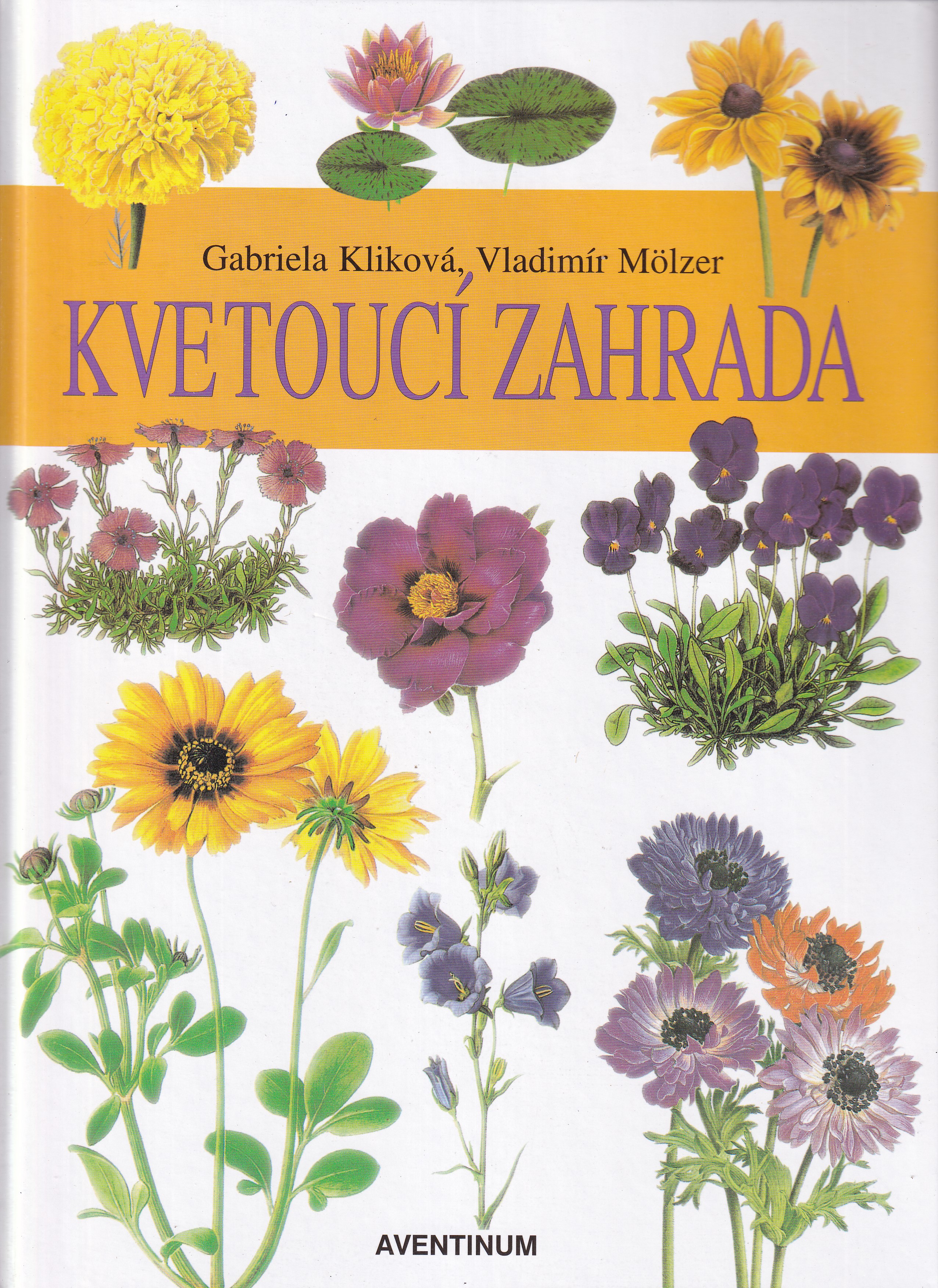 Kvetoucí zahrada