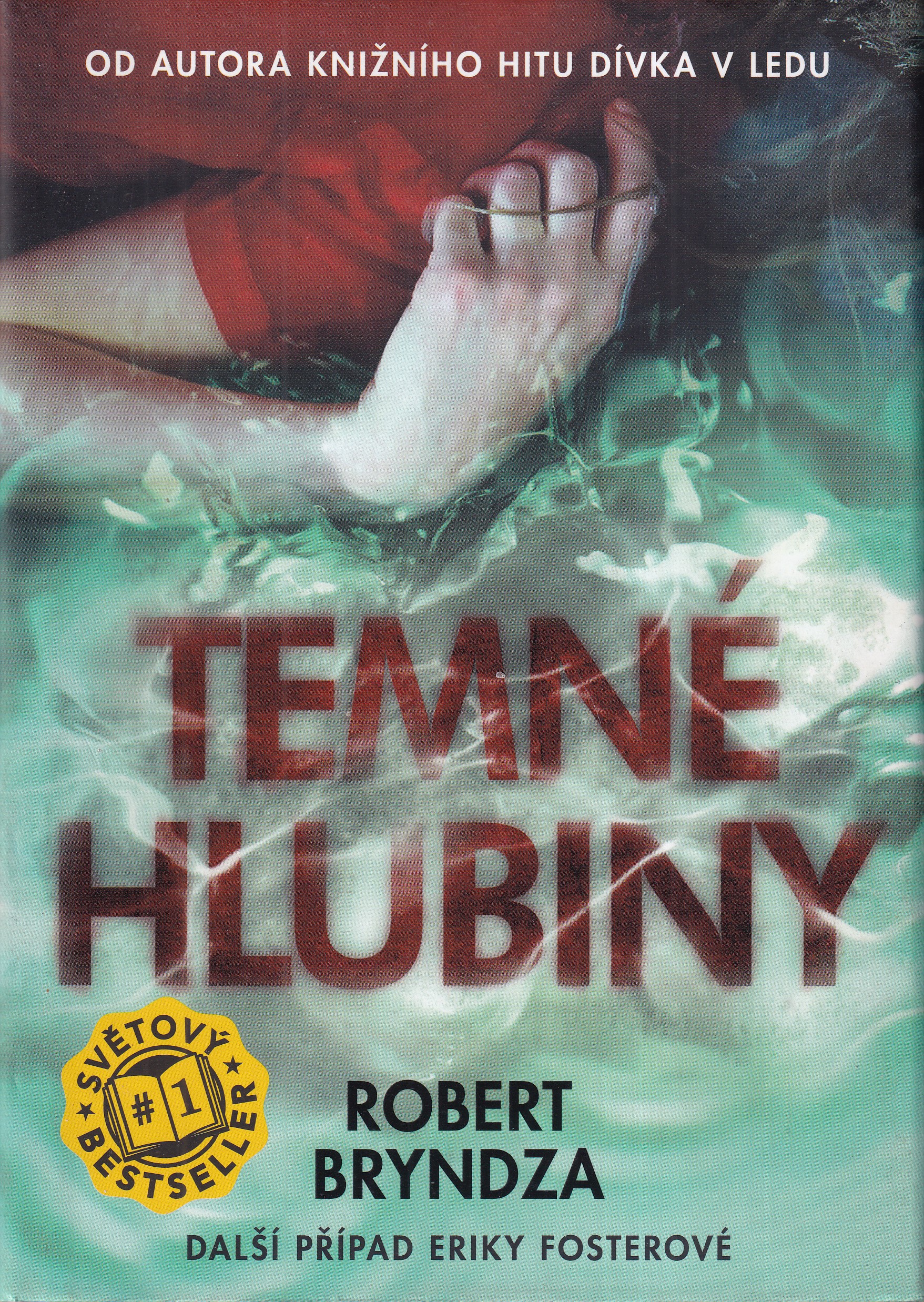 Temné hlubiny, Robert Bryndza