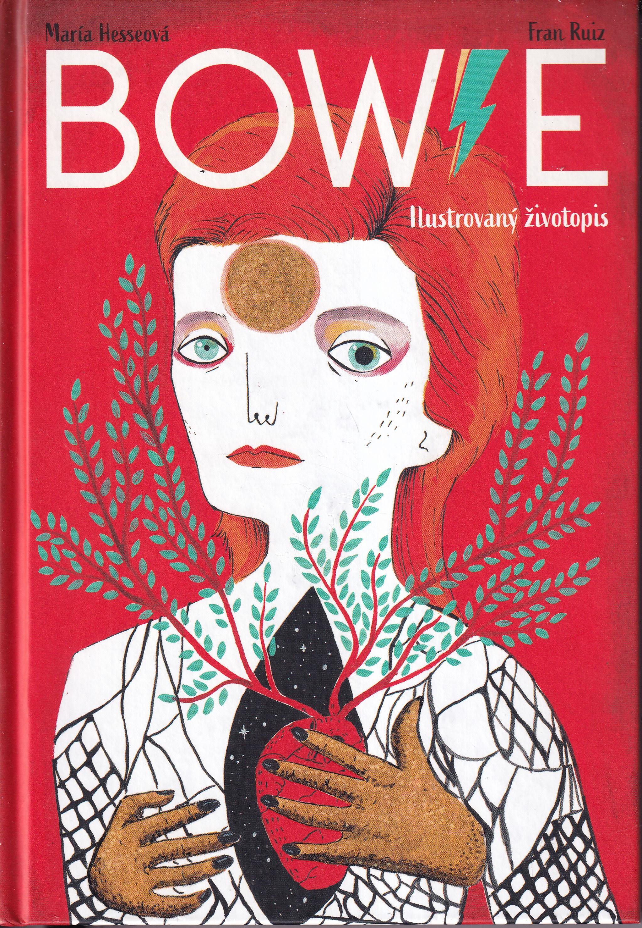 Bowie : ilustrovaný životopis