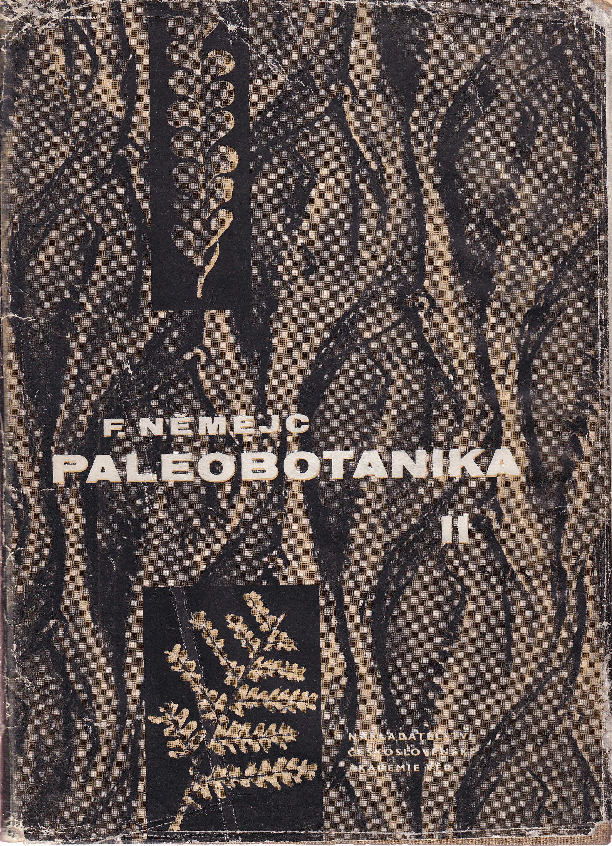 Paleobotanika  2. díl  Systematická část  Rostliny mechovité, psilofytové a kapraďorosty