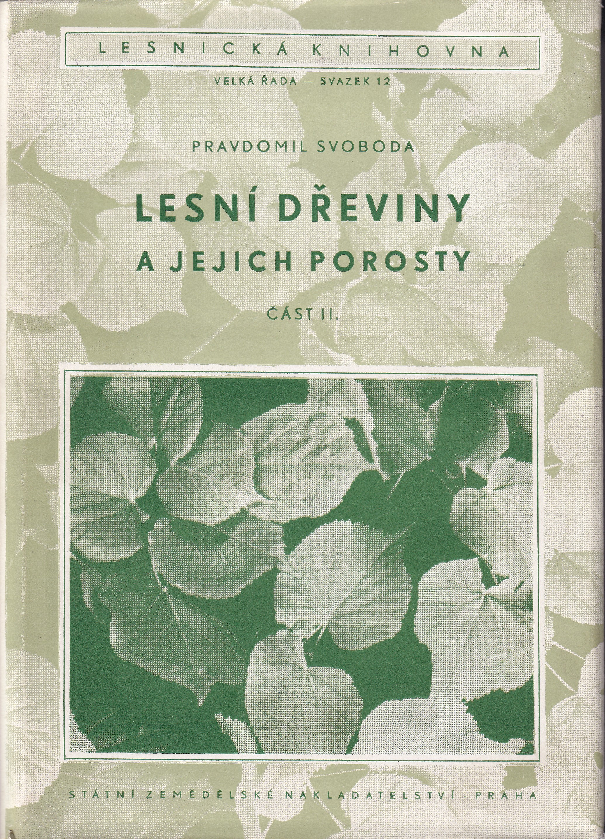 Lesní dřeviny a jejich porosty. Část 2