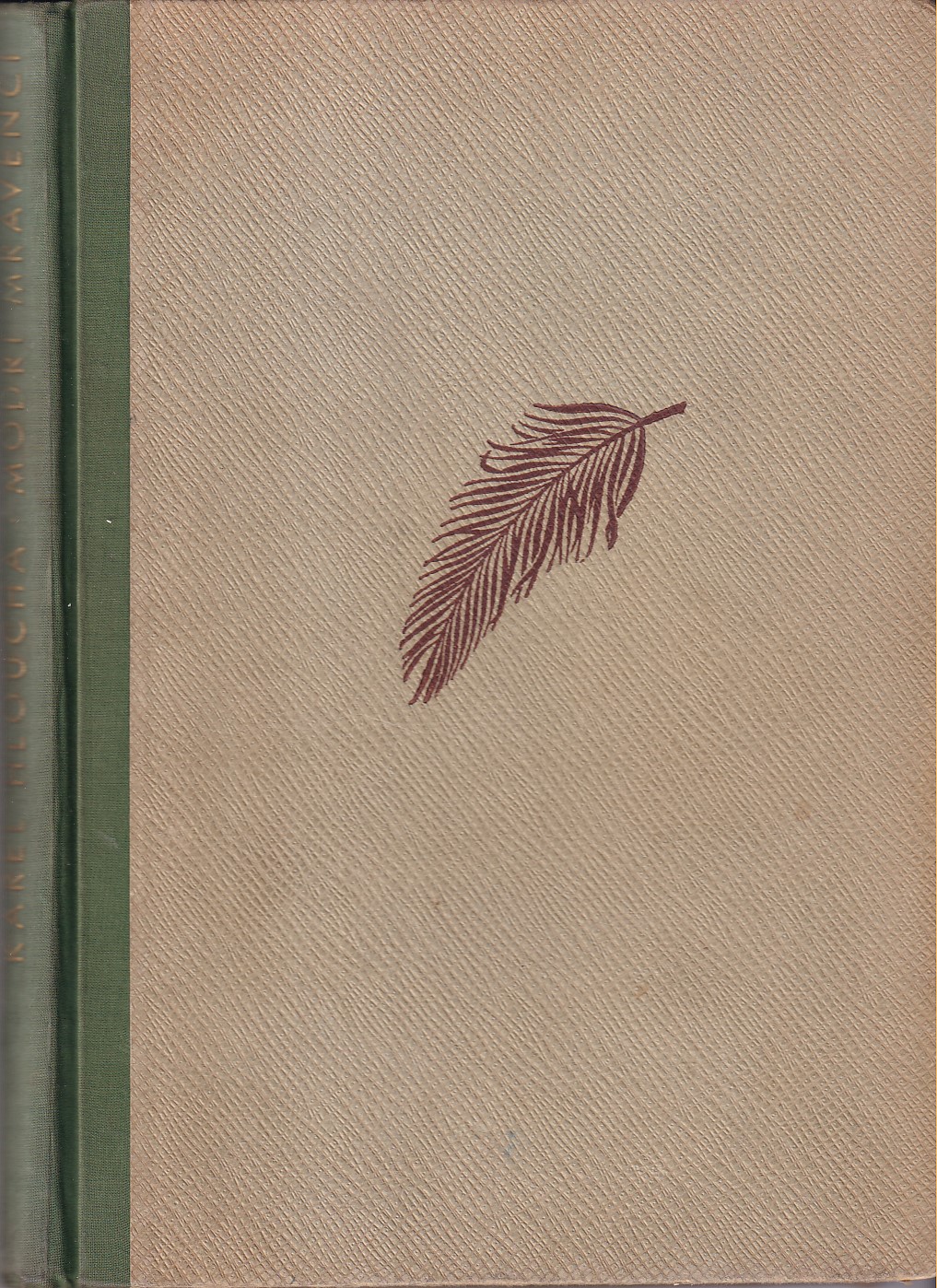 Modří mravenci / ilustrace Z. Burian