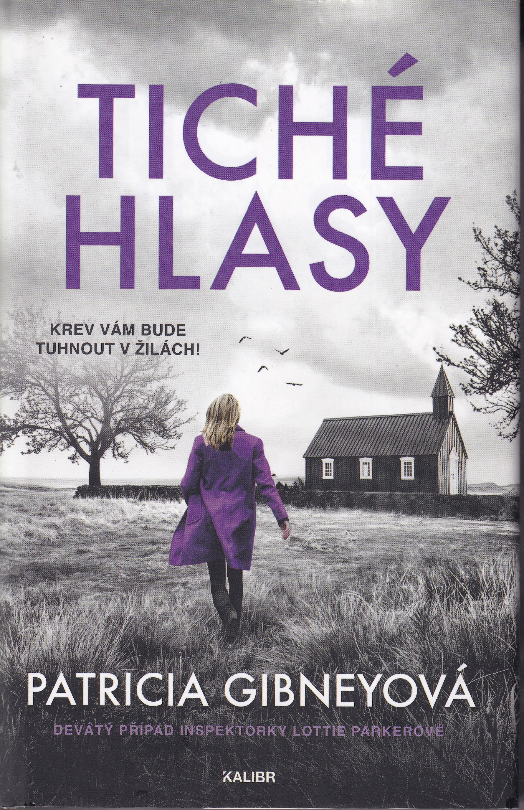 Tiché hlasy, Patricia Gibneyová