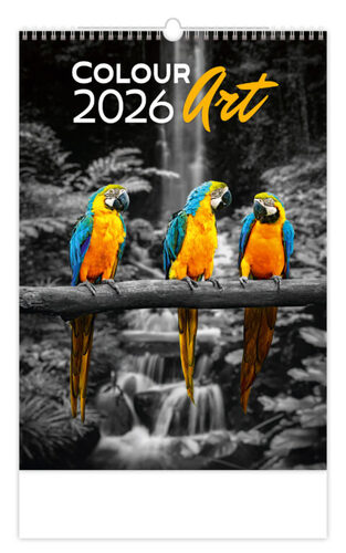 Colour Art 2026 - nástěnný kalendář
