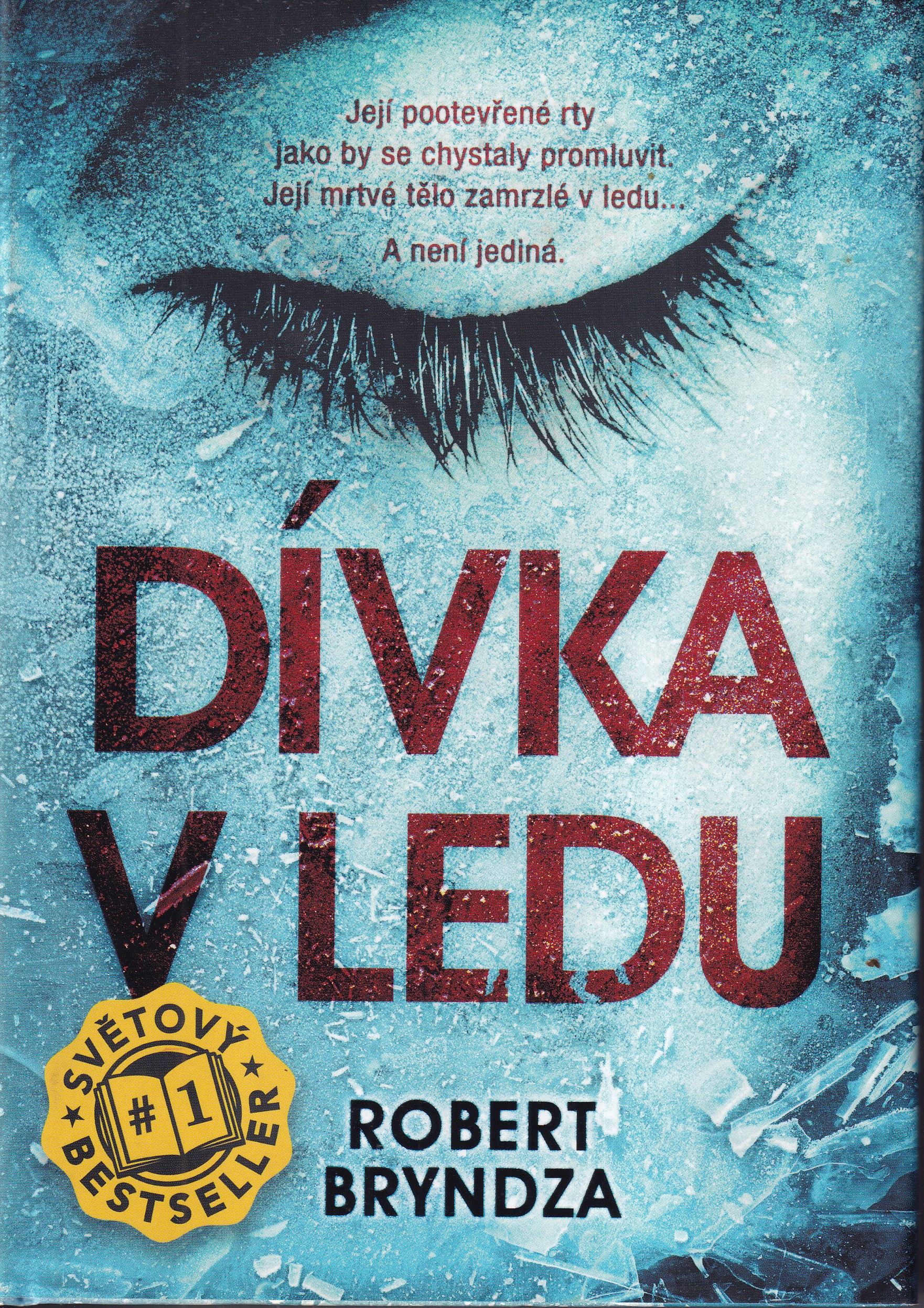 Dívka v ledu