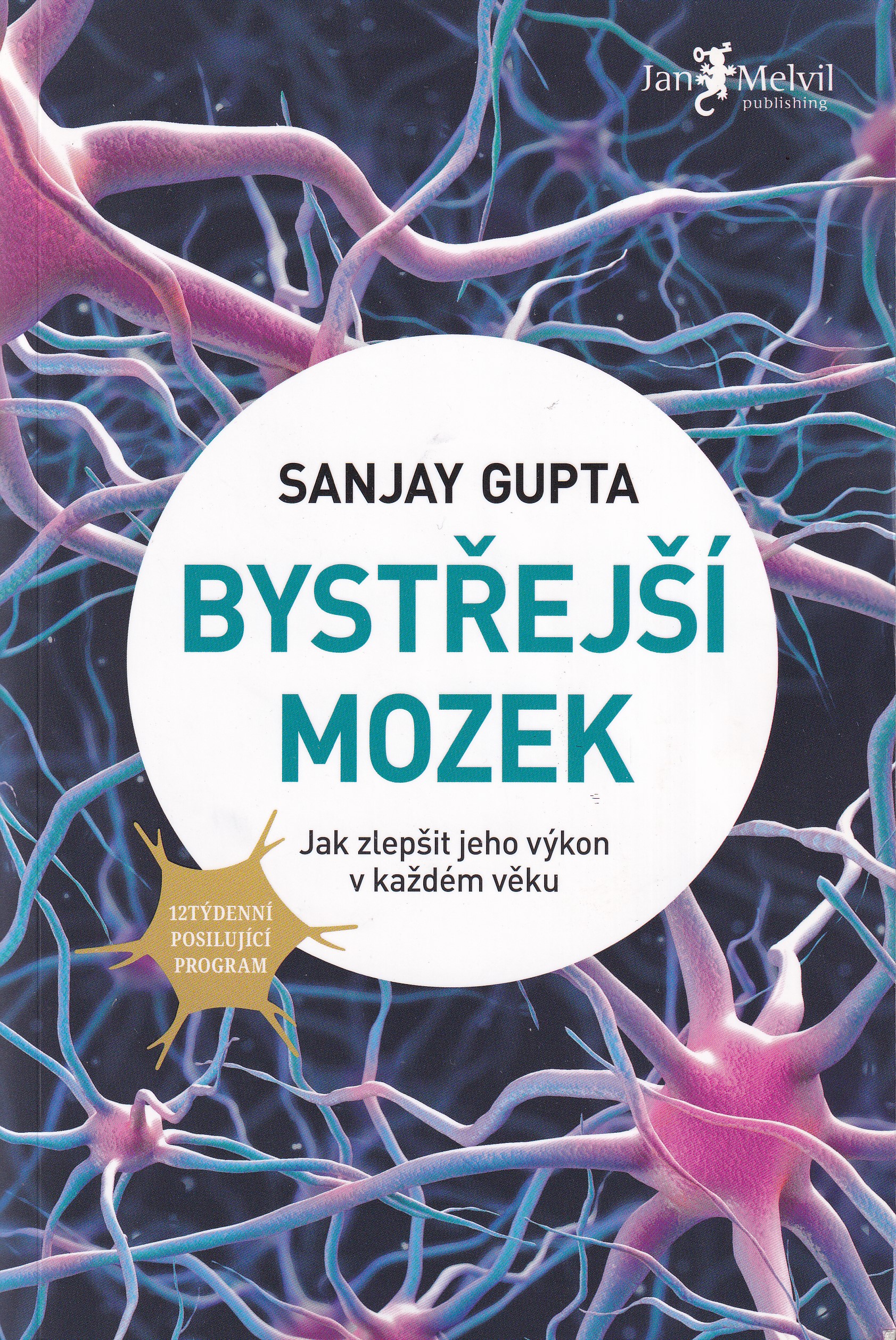 Bystřejší mozek : jak zlepšit jeho výkon v každém věku