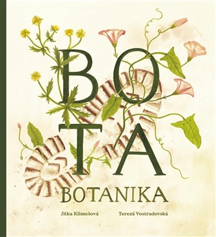 Bota botanika 