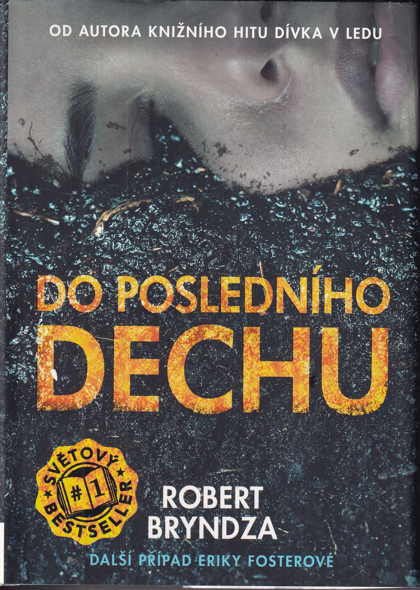 Do posledního dechu, Robert Bryndza