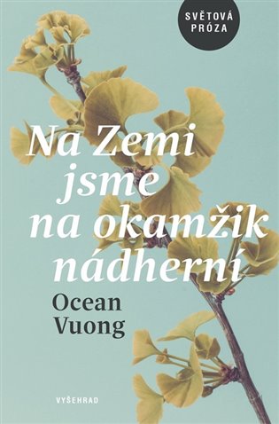 Na Zemi jsme na okamžik nádherní 