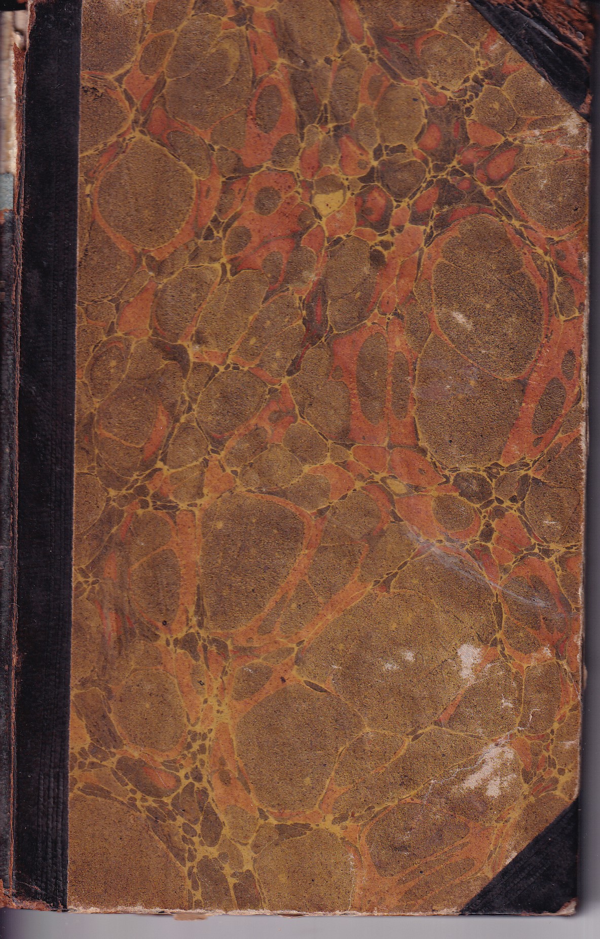 Mravo - Učení z přísloví českoslovanských