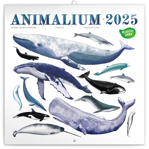 Poznámkový kalendář Animalium 2025 - nástěnný kalendář