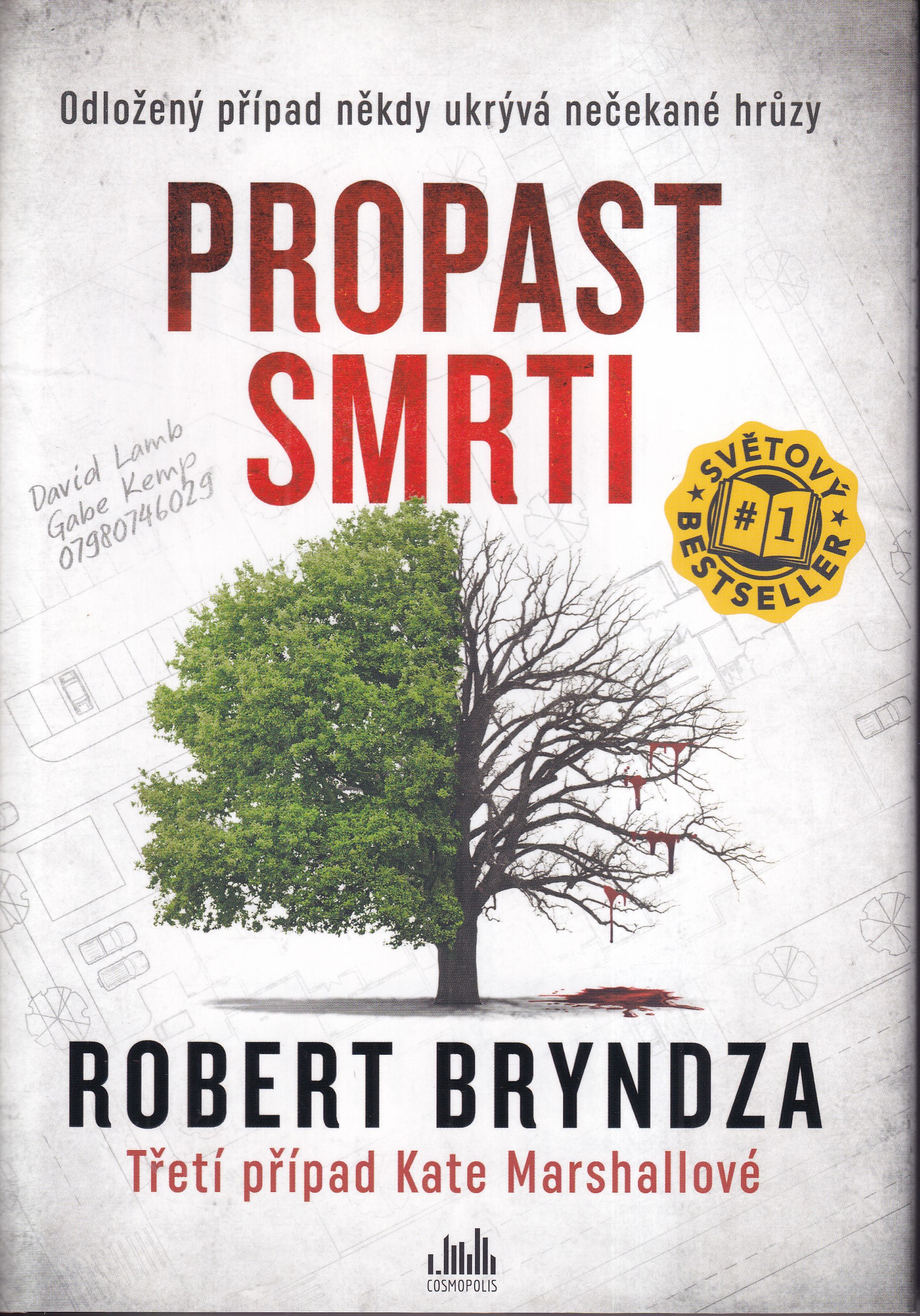 Propast smrti