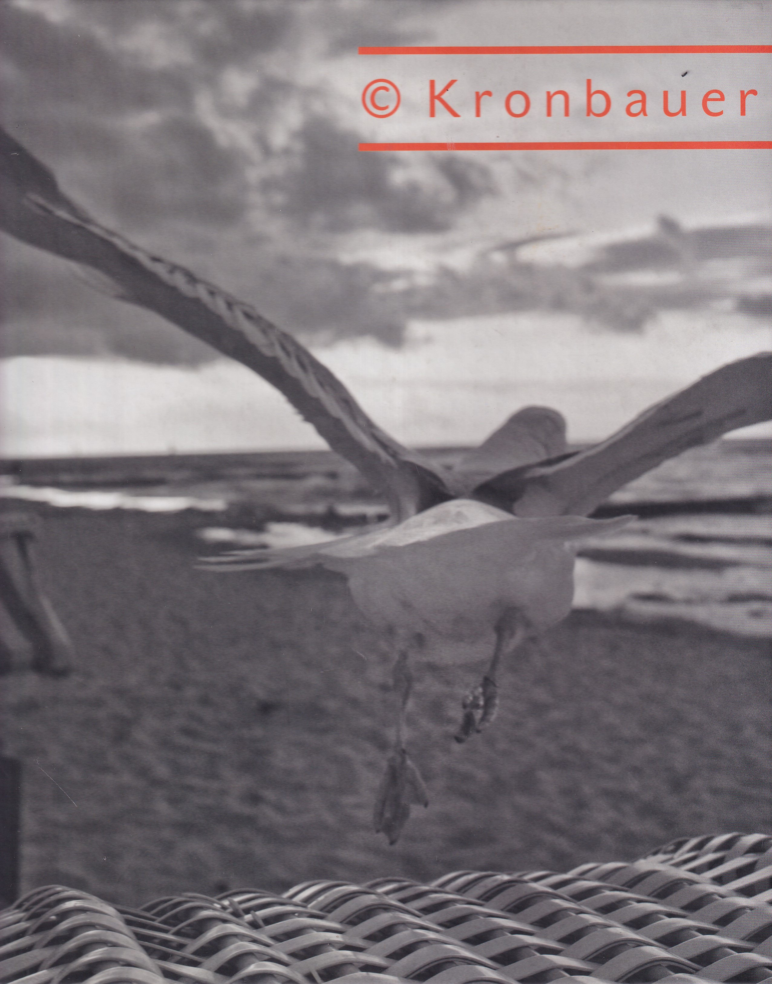 Viktor Kronbauer - Divadelní fotografie