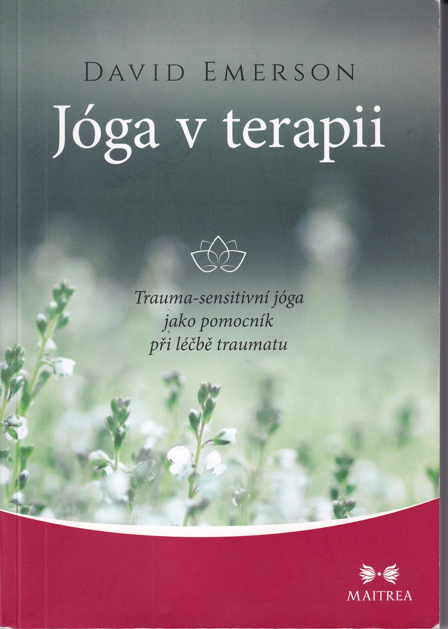 Jóga v terapii : trauma-sensitivní jóga jako pomocník při léčbě traumatu