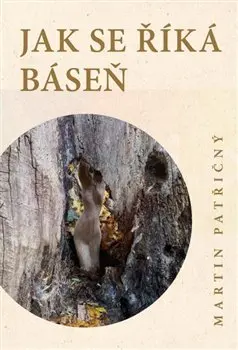 Jak se říká báseň